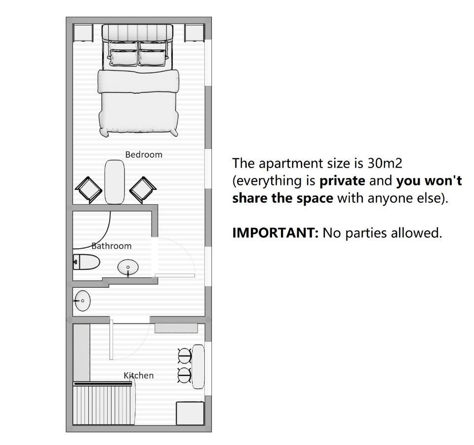 Aparthotel Savas 3 ,, Cosy House Studio" & Parking Kaunas Buitenkant foto